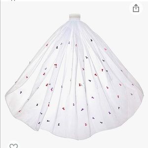 Naughty bachelorette veil